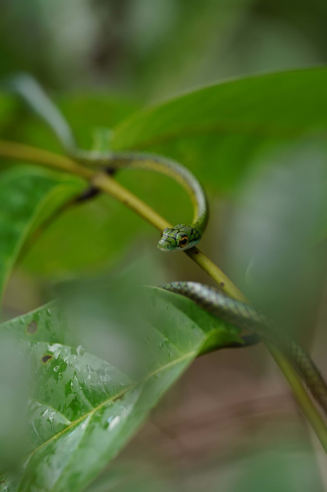 Actividades y experiencias