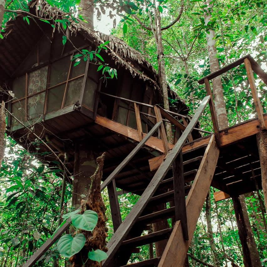 RESERVA NATURAL TANIMBOCA TOUR OPERADOR